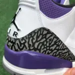 Air Jordan 3 "Dark Iris" CT8532-105 - 图片 4