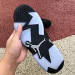 Air Jordan 6 Retro "Metallic Silver" DX2836-001 - 图片 4