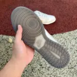 Nike Dunk Low Grey/Brown FJ4188-001 - 图片 5