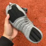 Air Jordan 12 "Wolf Grey" CT8013-019 - 图片 5