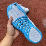 Air Jordan 12 "University Blue" 308243-142 - 图片 5