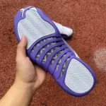Air Jordan 12 "White/Purple" CT8013-150 - 图片 6