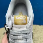 Nike Dunk x The North Face DQ1098-337 - 图片 6