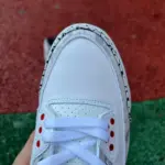 Air Jordan 3 "Wings" HM6993-100 - 图片 6