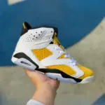 Air Jordan 6 "Yellow Ochre" CT8529-170