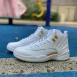 Air Jordan 12 WMNS "Phantom" FD9101-007