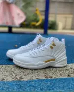 Air Jordan 12 WMNS "Phantom" FD9101-007