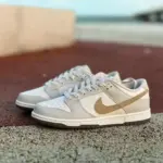 Nike Dunk Low Grey/Brown FJ4188-001