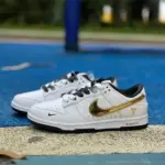 Nike Zoom Kobe x Dunk White/Black/Gold FC1688-193