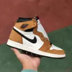 Air Jordan 1 "Black Brown Toe"  555088-700