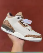 Air Jordan 3 “Palomino” White/Brown CT8532-102