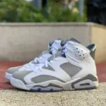 Air Jordan 6 "Cool Grey" CT8529-100