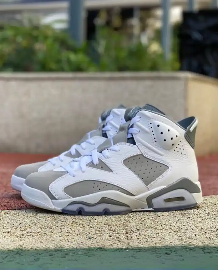 bria_d6526b0a3a2bc5ad.webp Air Jordan 6 "Cool Grey" CT8529-100 - 图片 1