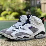 Air Jordan 6 "Flint" CI3125-100
