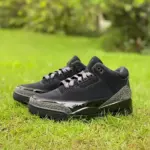 Air Jordan 3 "Black Sesame" CK9246-168