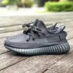 Adidas Yeezy Boost 350 V2 "Pure Oat" HQ4540