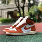 Air Jordan 1 "Starfish" Shattered Backboard  DO9369-101