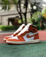Air Jordan 1 "Starfish" Shattered Backboard  DO9369-101